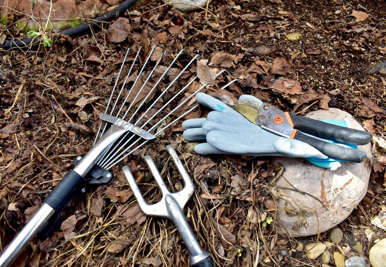 Yard in early spring with lawn tools to help remove winter debris