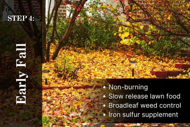 5 Step Lawn Care Program Step 4