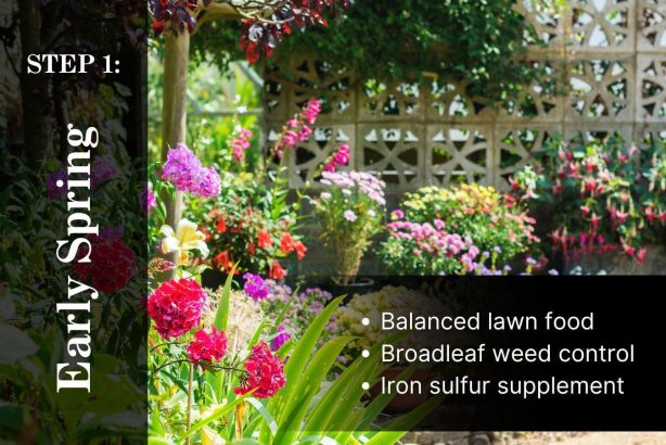 5 Step Lawn Care Program Step 1