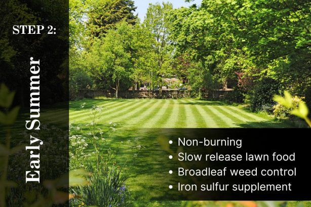 5 Step Lawn Care Program Step 2