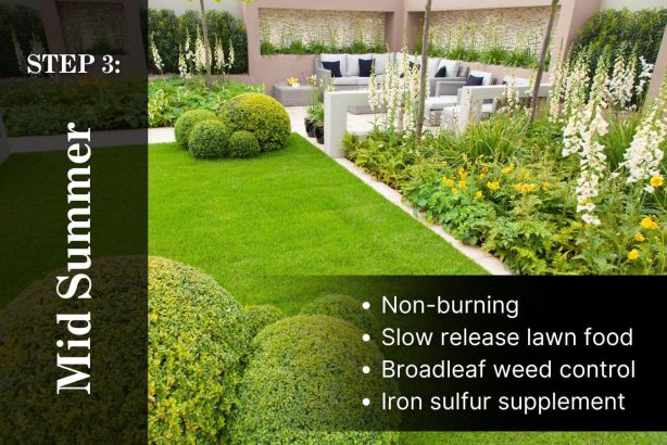 5 Step Lawn Care Program Step 3