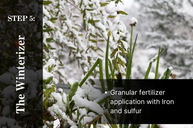 5 Step Lawn Care Program Step 5